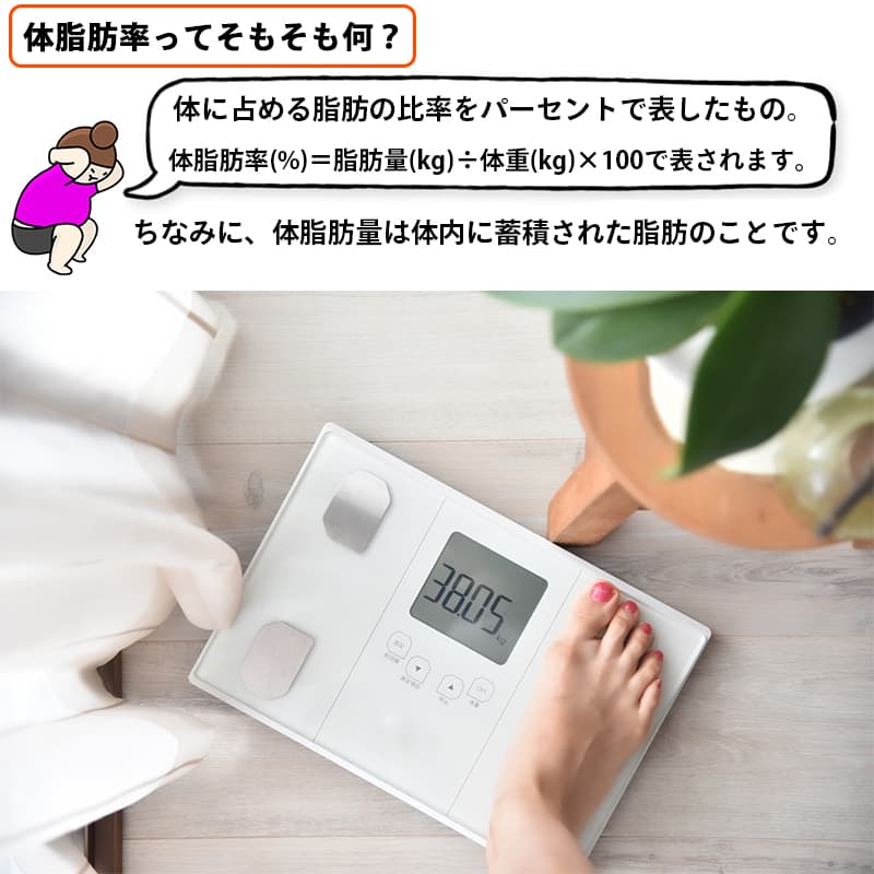 体脂肪率 体脂肪量って何?
