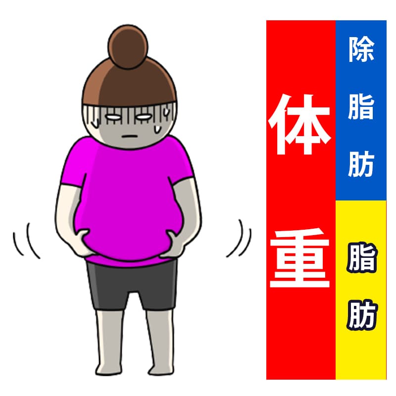 その体重の中身は、除脂肪体重+脂肪です。
