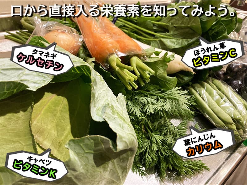 口から直接入る栄養素を知ってみよう。