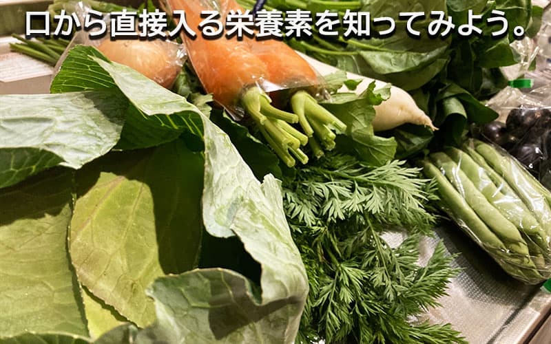 口から直接入る栄養素を知ってみよう。