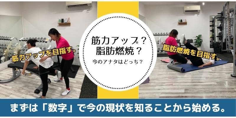 脂肪燃焼、筋力アップ、