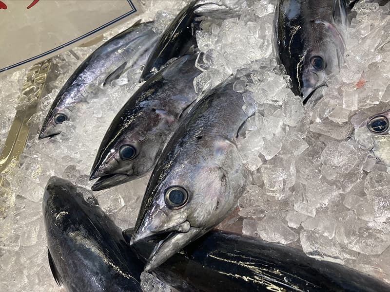 カツオは、特に30代から積極的に取り入れたい魚のひとつです。