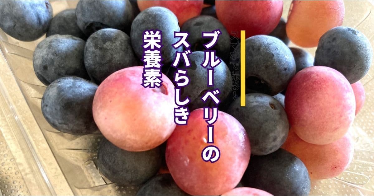 ブルーベリーの栄養素