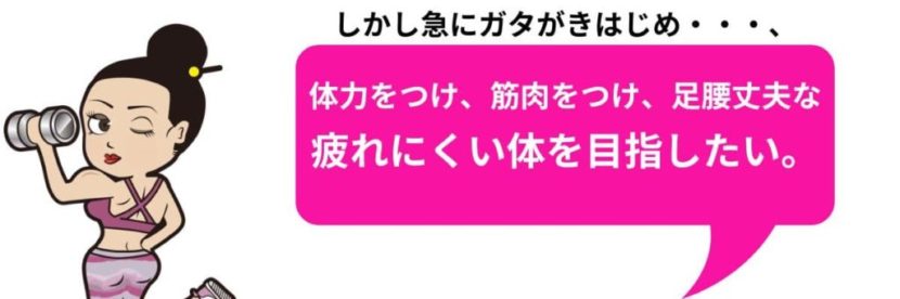 疲れにくい身体を目指したい