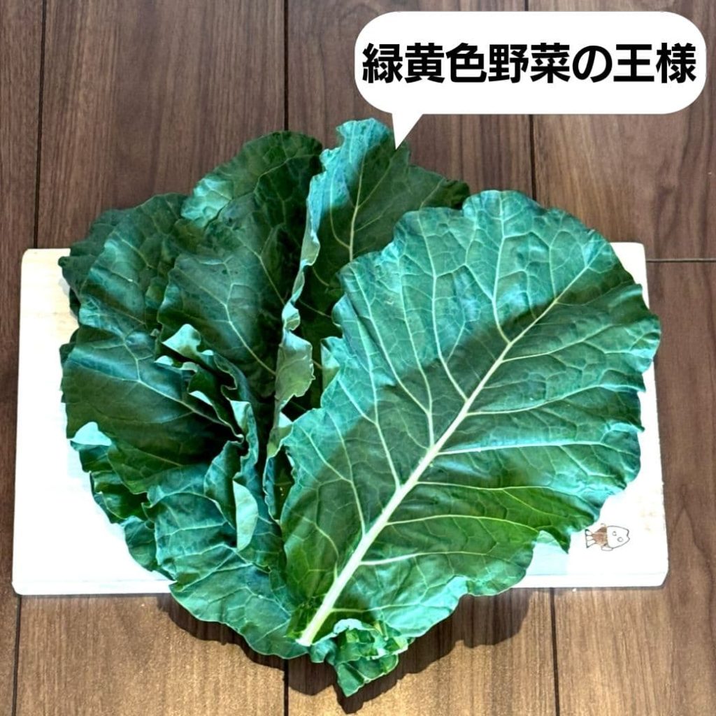 緑黄色野菜の王様　ケール　青汁