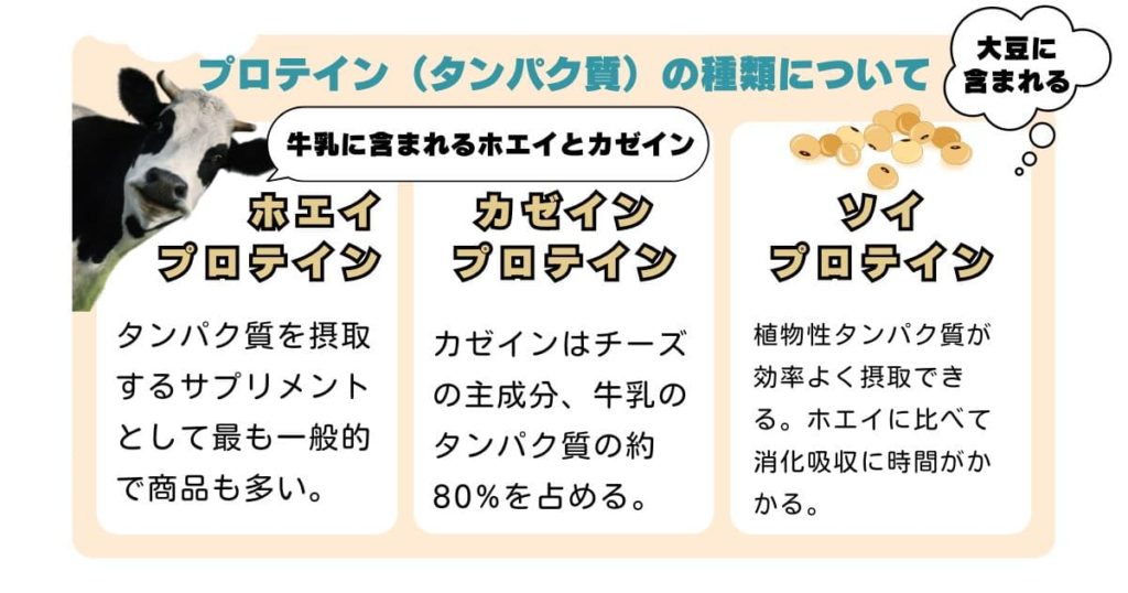 プロテイン種類 ホエイプロテイン カゼインプロテイン ソイプロテイン
