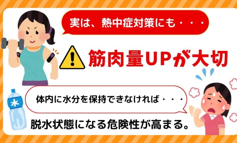 熱中症対策には筋肉を鍛えることが大切です。