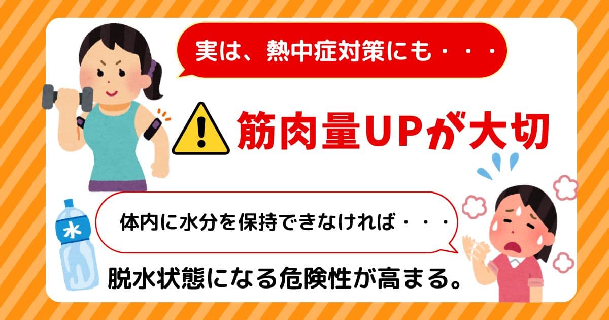 熱中症対策には筋肉を鍛えることが大切です。
