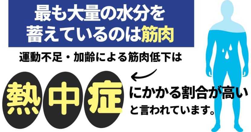 筋肉を失う前に運動をして熱中症対策を。
