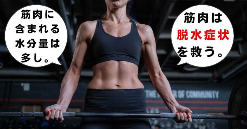 筋トレ、筋肉は脱水症状を救う
