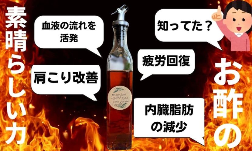 お酢の力