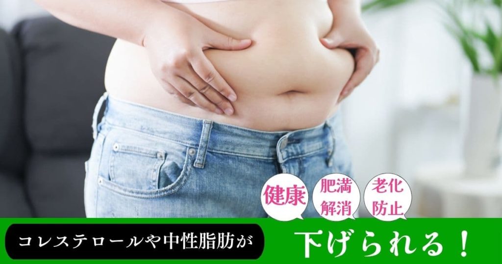 コレステロールや中性脂肪を下げられる。