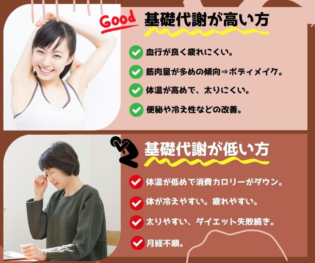 基礎代謝が高い人、基礎代謝が低い人