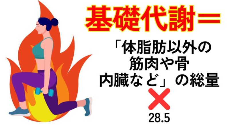 基礎代謝＝「体脂肪以外の筋肉や骨・内臓など」の総量×28.5