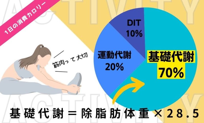 消費カロリー　基礎代謝