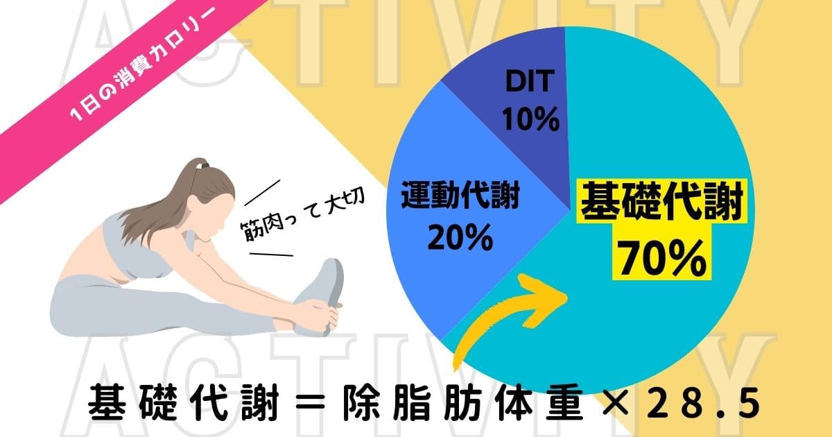 消費カロリー　基礎代謝