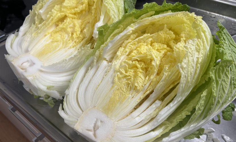 白菜　栄養素