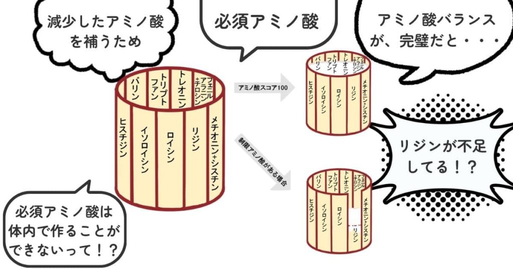 アミノ酸スコアとは？