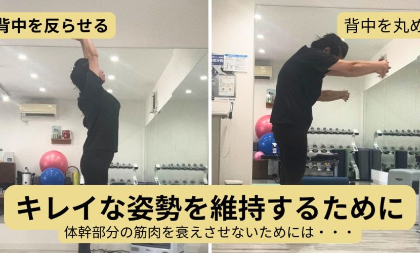 キレイな姿勢を維持するために