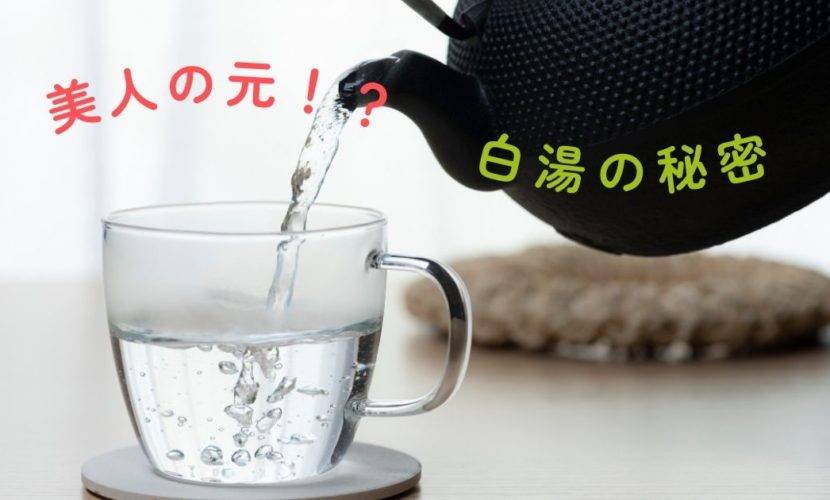 美人の元！？白湯の秘密
