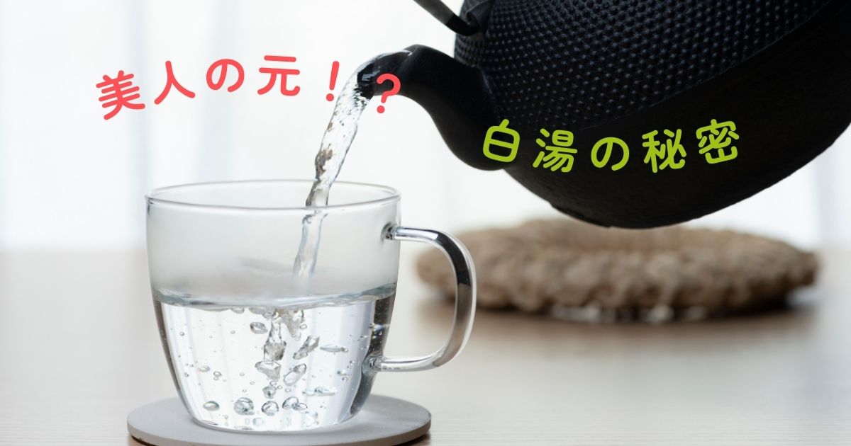 美人の元！？白湯の秘密