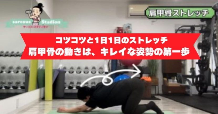 肩甲骨ストレッチ