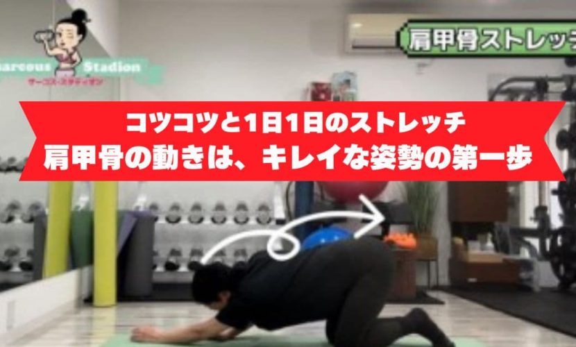 肩甲骨ストレッチ