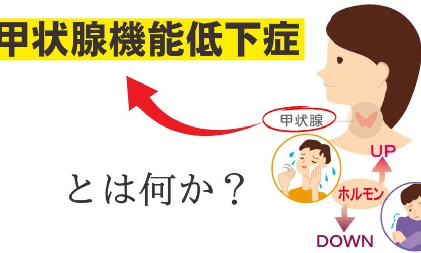 甲状腺機能低下症　橋本病