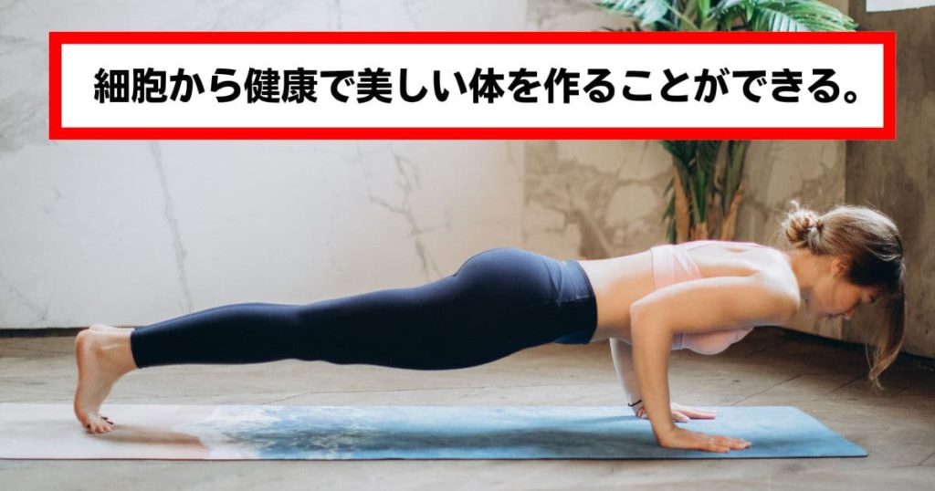細胞から健康で美しい体を作ることができる