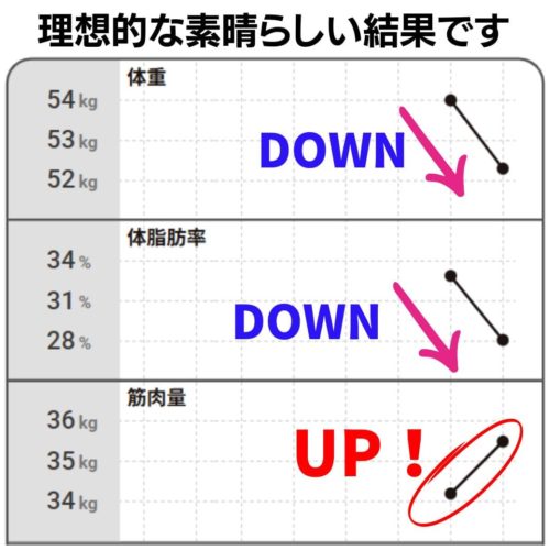 筋肉量アップ、体脂肪量、体脂肪率ダウン