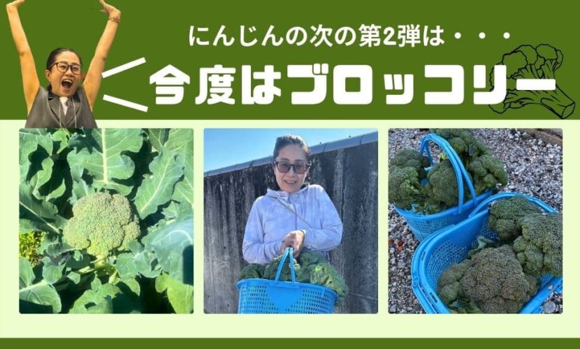 ブロッコリー　栄養素