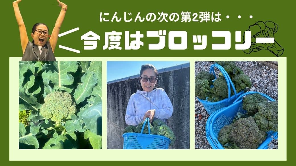 ブロッコリー　栄養素