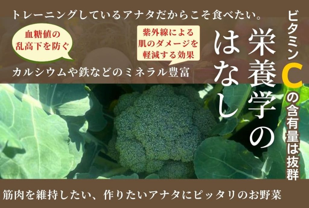 筋肉には欠かせないブロッコリーの栄養素