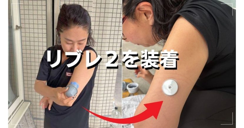 アボットジャパン（Abbott）フリースタイルリブレ2 センサー