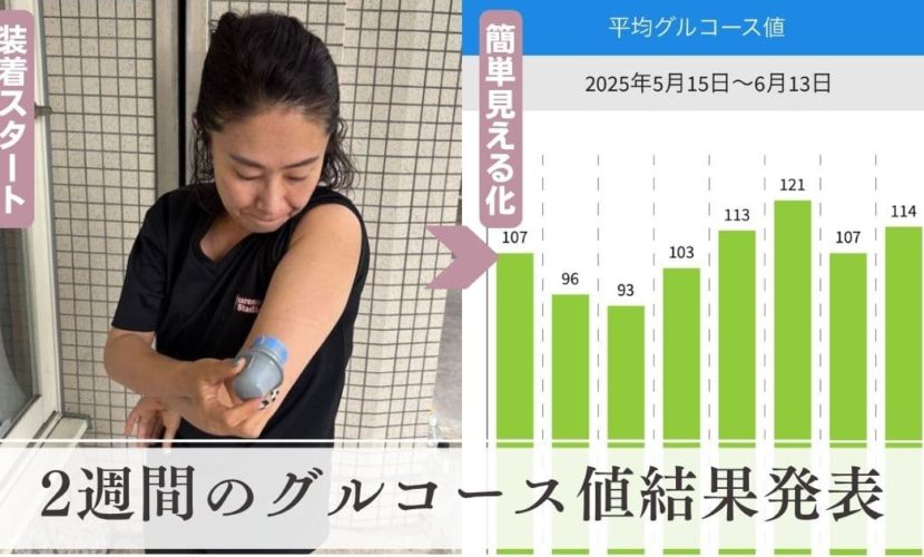 リブレ2　グルコース値　結果発表