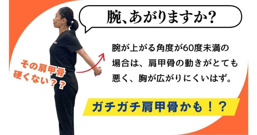 肩甲骨 可動域 チェック 硬くないか
