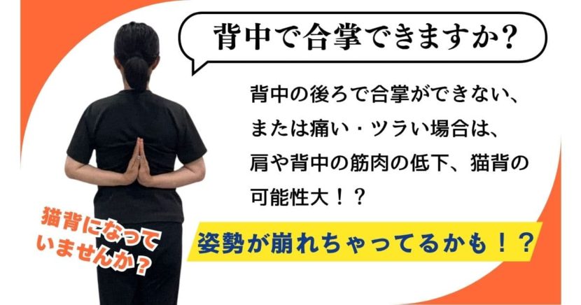 肩甲骨 肩 背中 合掌 ストレッチ