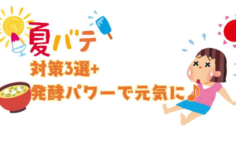 夏バテ対策3選+発酵パワーで元気に♪