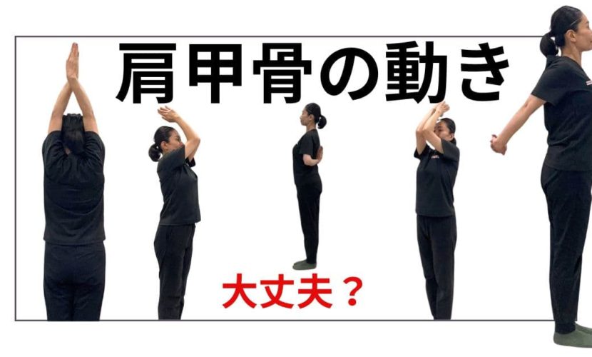 肩甲骨ストレッチ