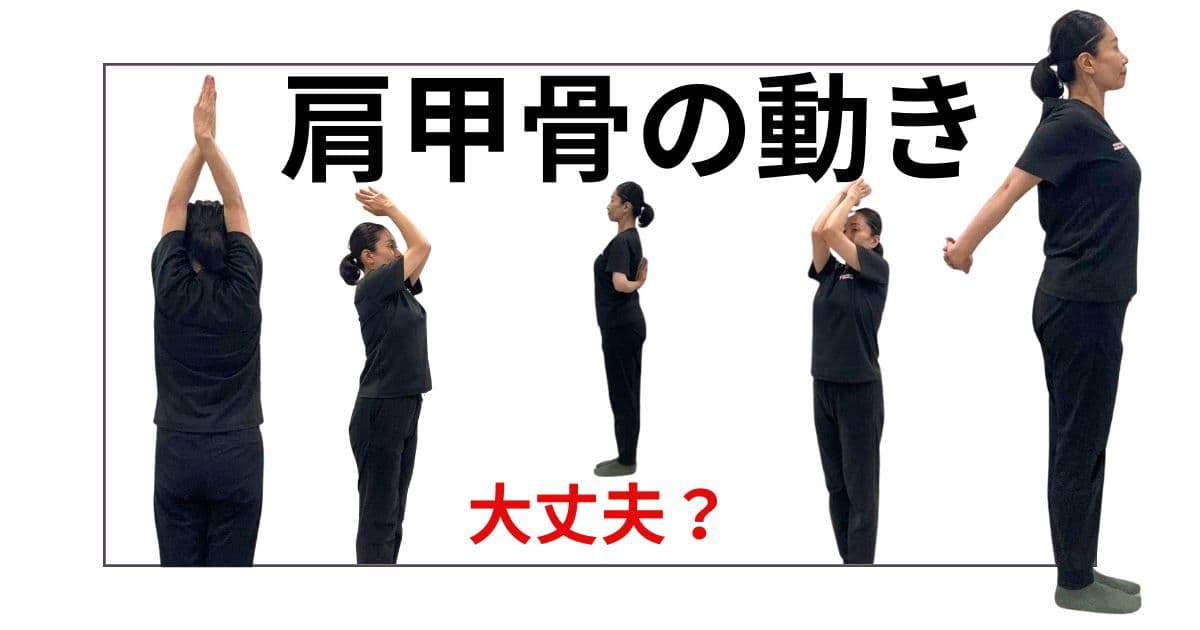 肩甲骨ストレッチ