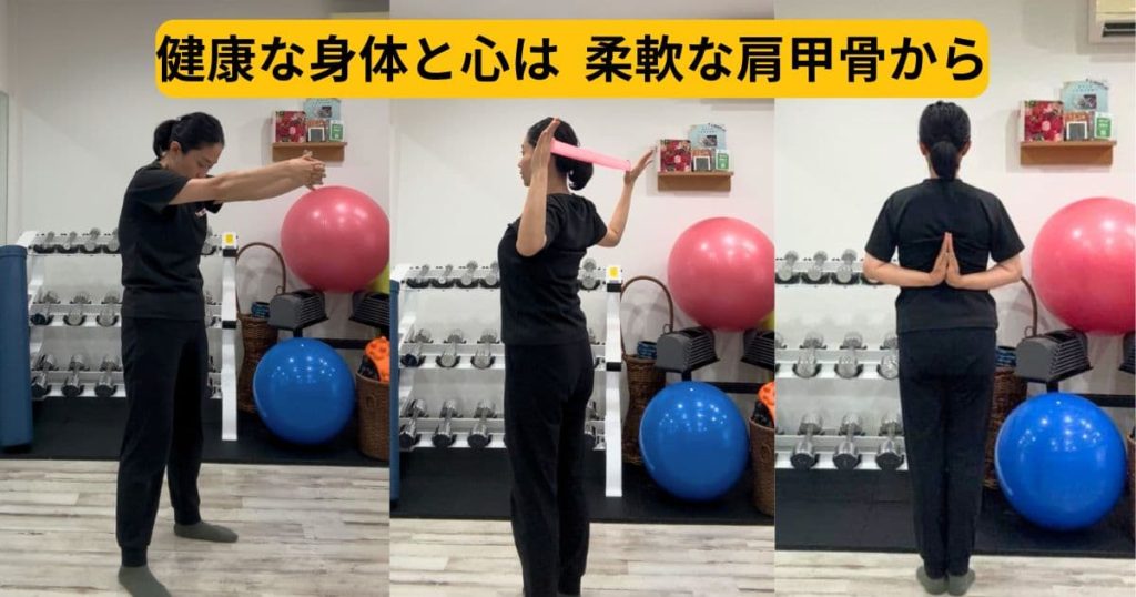 健康な体と心は柔軟な肩甲骨から
