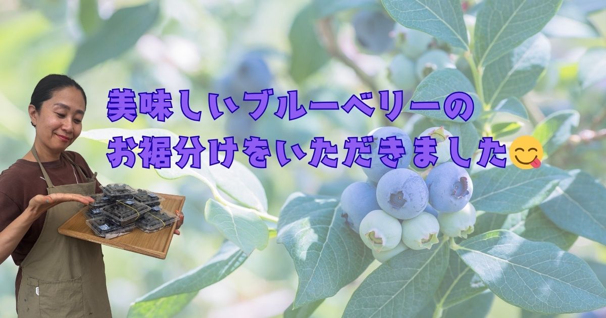 美味しいブルーベリーのお裾分けをいただきました
