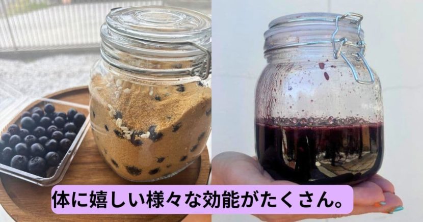 ブルーベリーの発酵シロップ