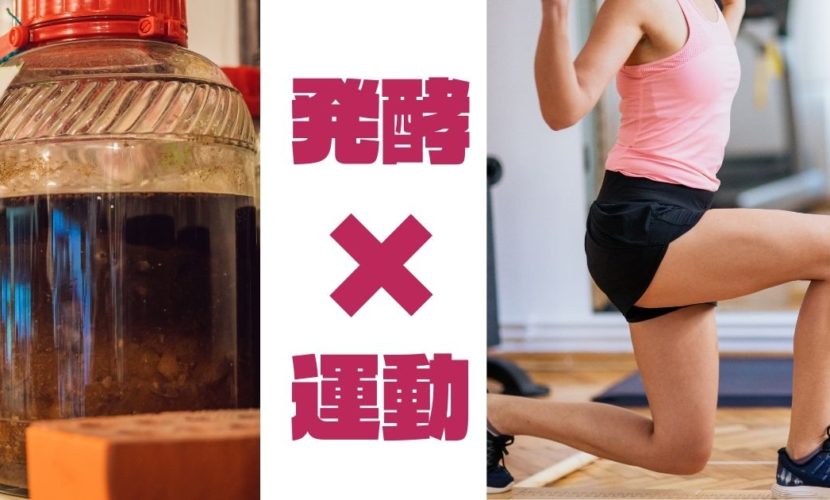 発酵×運動