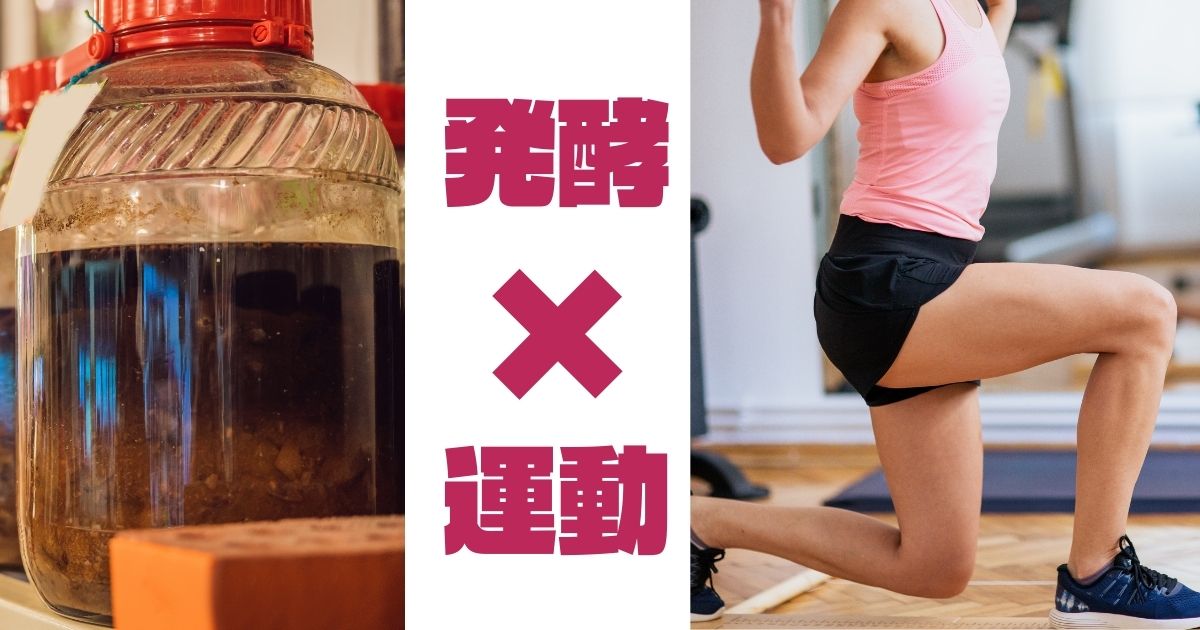 発酵×運動
