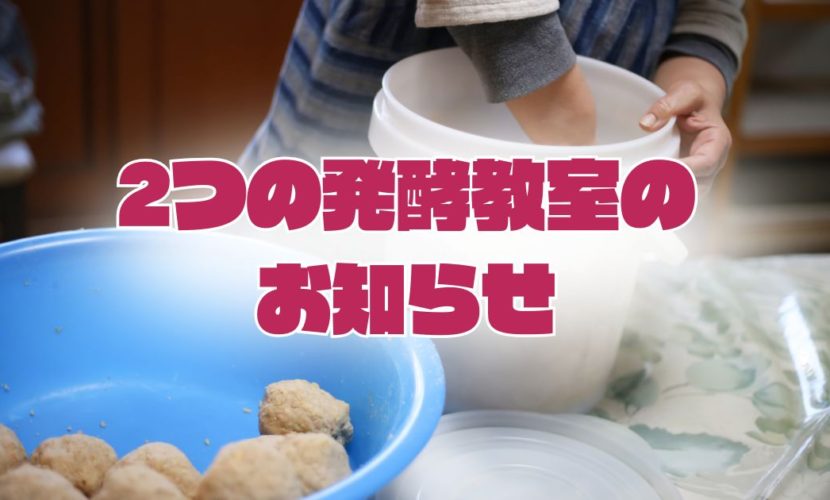 2つの発酵教室のお知らせ