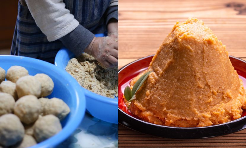 おから味噌作り教室