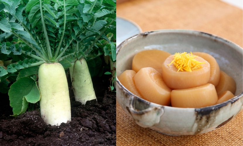 冬のオススメ食材
①大根